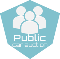 Public Car Auction