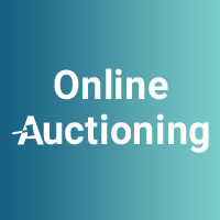 Online Auctioning
